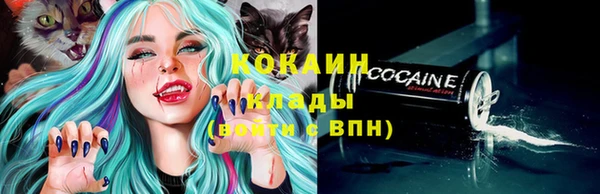 шишки Покров