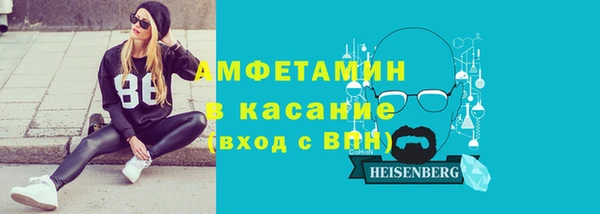 прущие грибы Аркадак