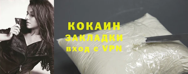 индика Фёдоровский